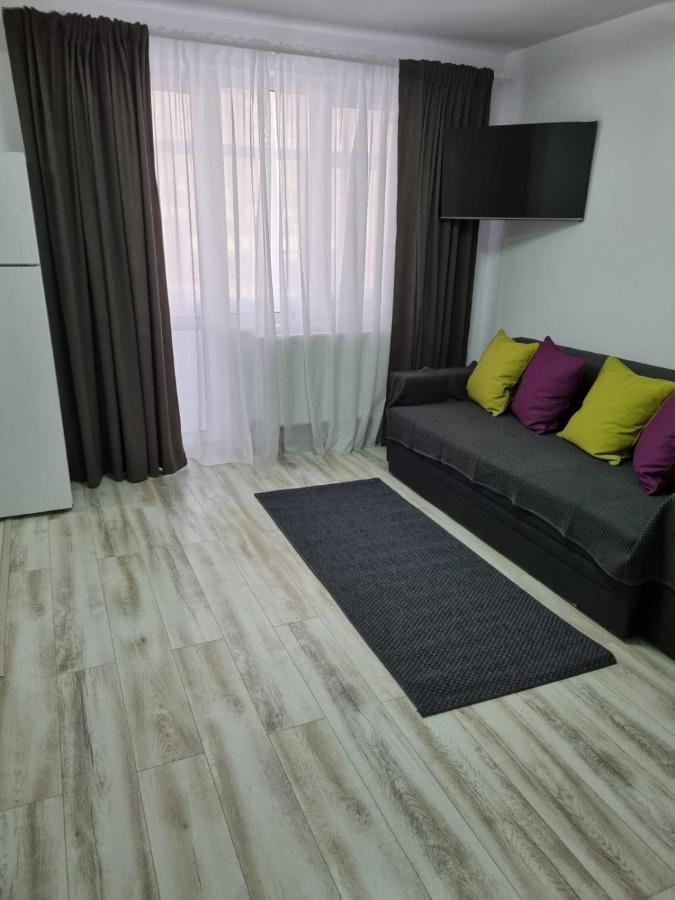 Luxury Apartament คูร์ตา เด อาร์เจช ภายนอก รูปภาพ